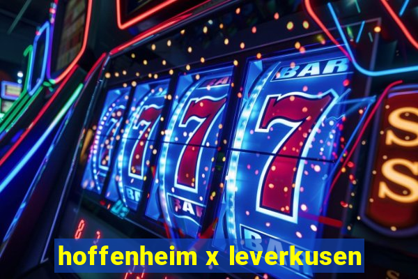 hoffenheim x leverkusen