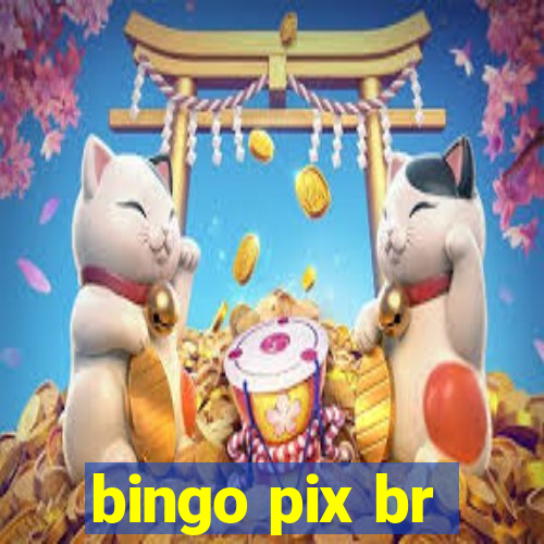 bingo pix br