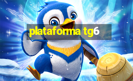 plataforma tg6