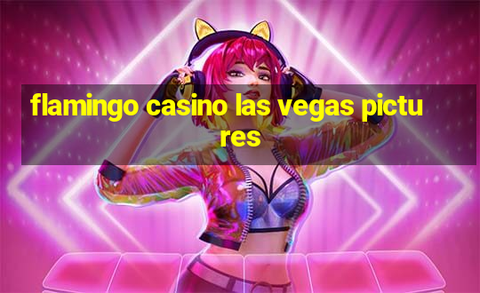 flamingo casino las vegas pictures