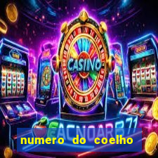 numero do coelho na loteria federal