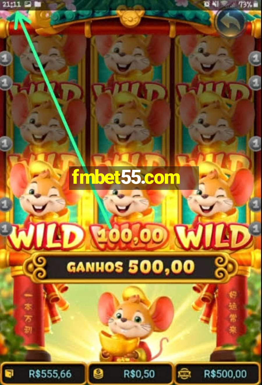 fmbet55.com