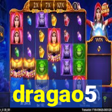 dragao5