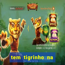 tem tigrinho na bet 365