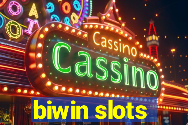 biwin slots