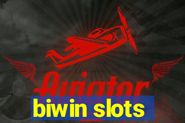 biwin slots