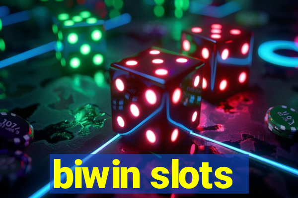 biwin slots