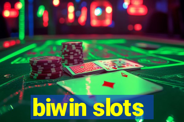 biwin slots