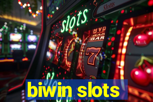 biwin slots