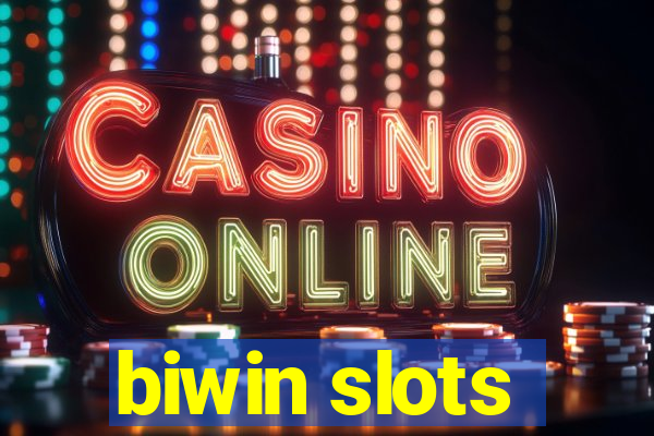 biwin slots