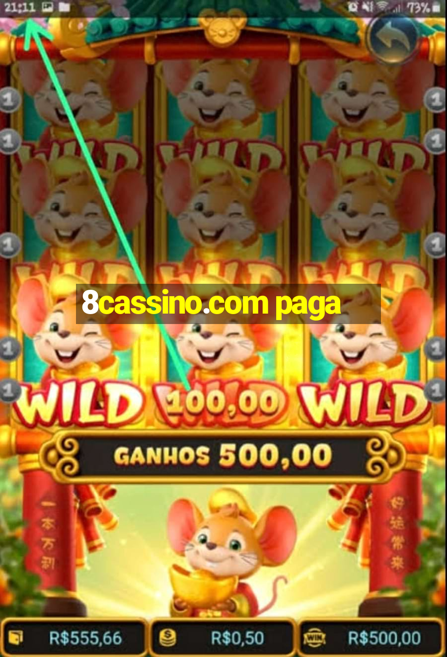 8cassino.com paga