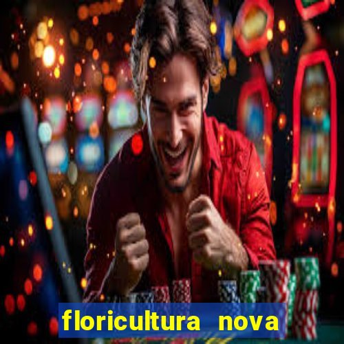 floricultura nova flor videira