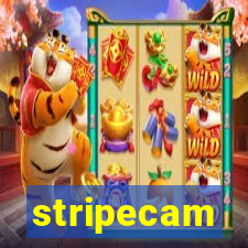 stripecam