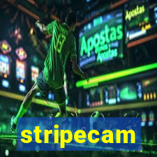 stripecam