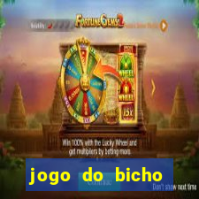 jogo do bicho online parana