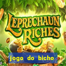 jogo do bicho esporte da sorte