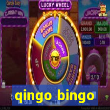 qingo bingo