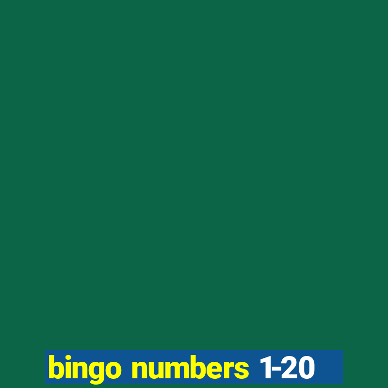 bingo numbers 1-20