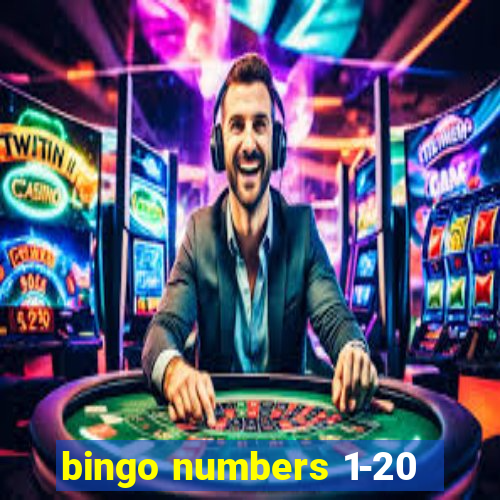 bingo numbers 1-20