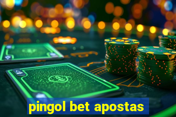 pingol bet apostas