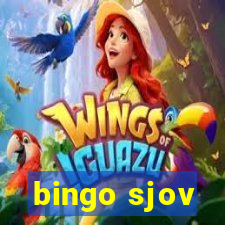 bingo sjov