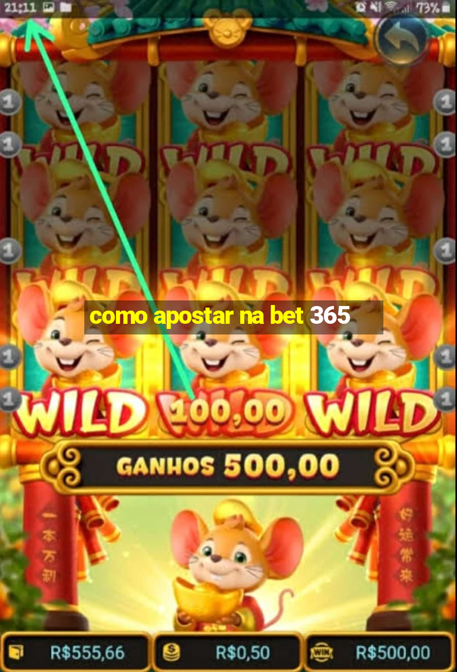 como apostar na bet 365