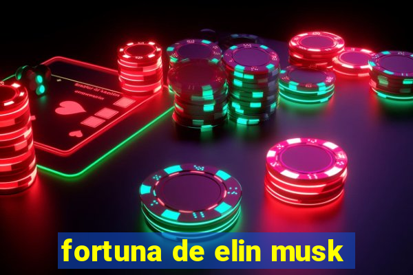 fortuna de elin musk