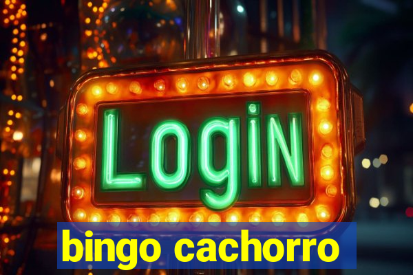 bingo cachorro