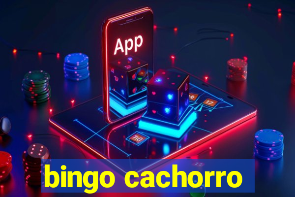 bingo cachorro