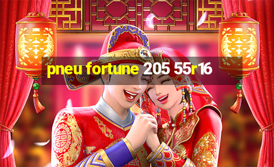 pneu fortune 205 55r16