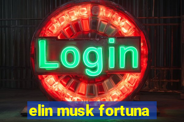 elin musk fortuna