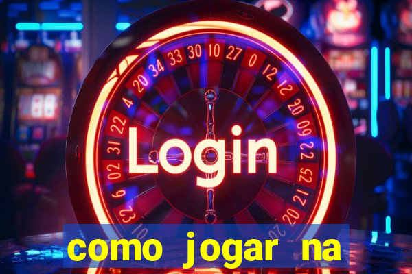 como jogar na lotinha do jogo do bicho