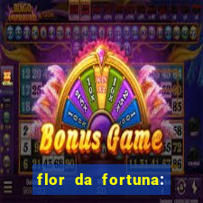 flor da fortuna: como cuidar