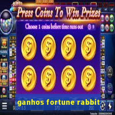 ganhos fortune rabbit