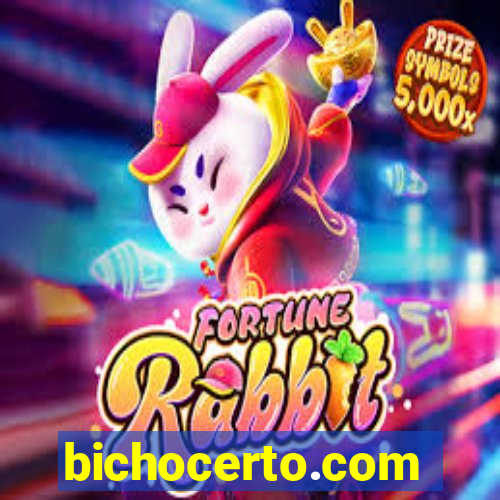 bichocerto.com