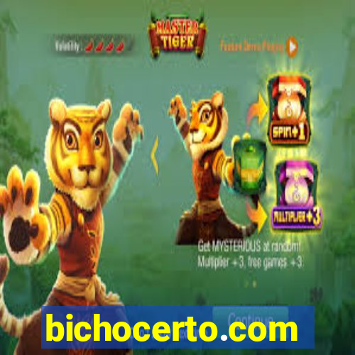 bichocerto.com