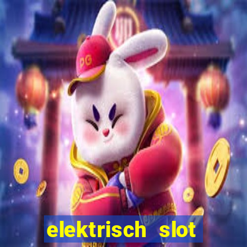 elektrisch slot houten poort