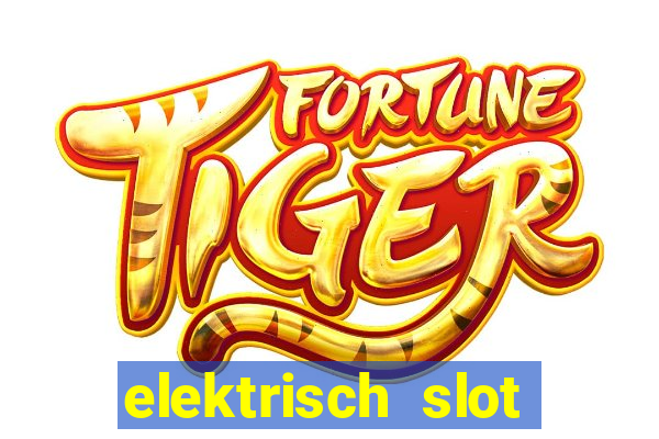 elektrisch slot houten poort