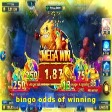 bingo odds of winning