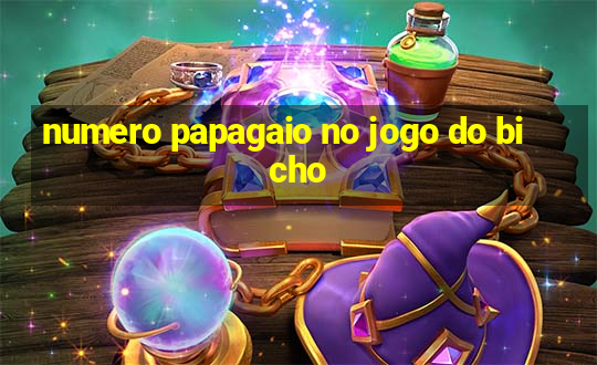 numero papagaio no jogo do bicho