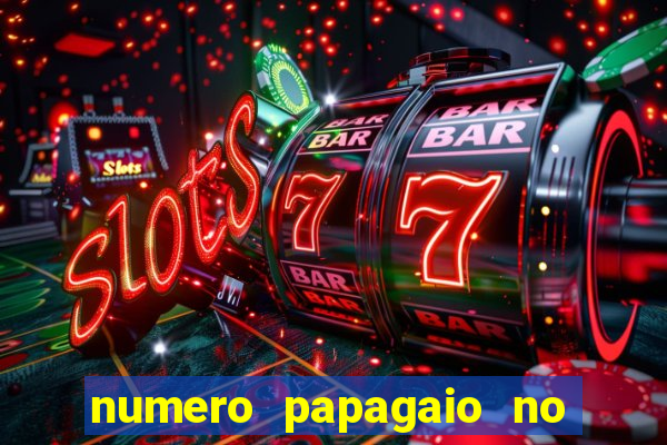 numero papagaio no jogo do bicho