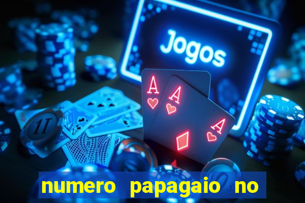 numero papagaio no jogo do bicho