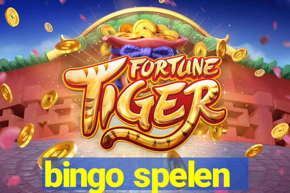 bingo spelen