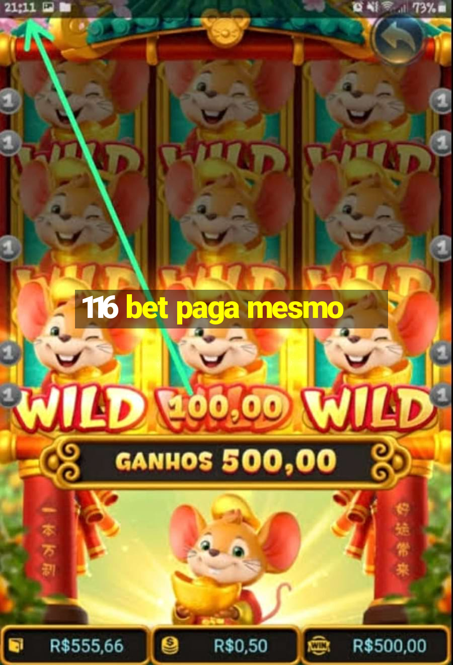 116 bet paga mesmo