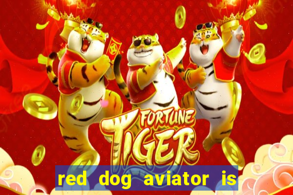 red dog aviator is real or fake