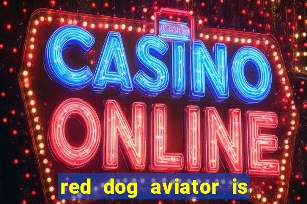 red dog aviator is real or fake