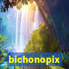 bichonopix