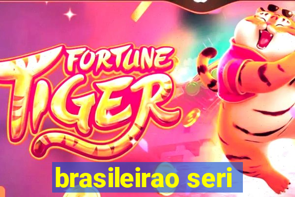 brasileirao seri