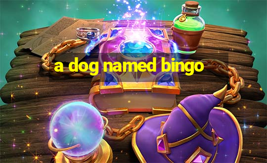 a dog named bingo