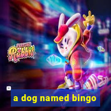 a dog named bingo